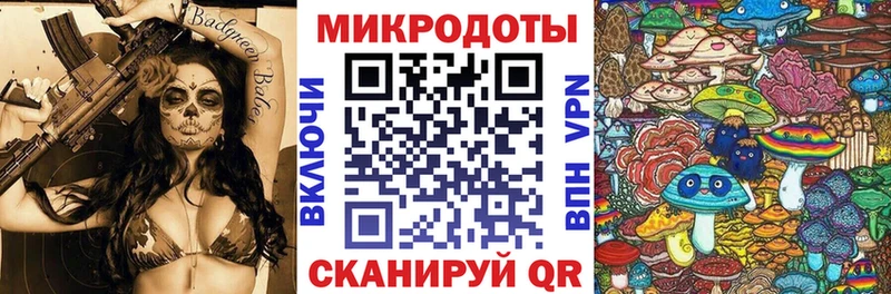 Псилоцибиновые грибы Psilocybine cubensis  Велиж 